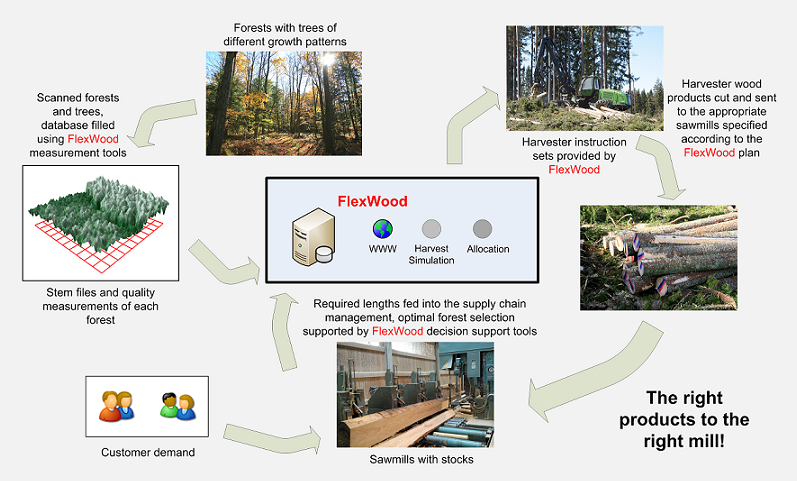 FlexWood Cycle