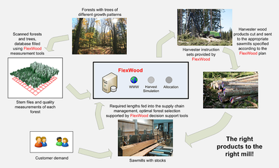 FlexWood Cycle