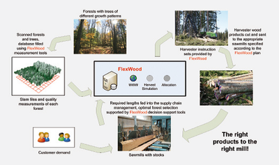 FlexWood Diagram